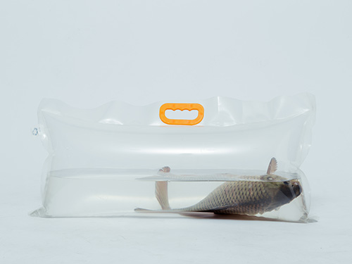 活魚充氧運輸袋